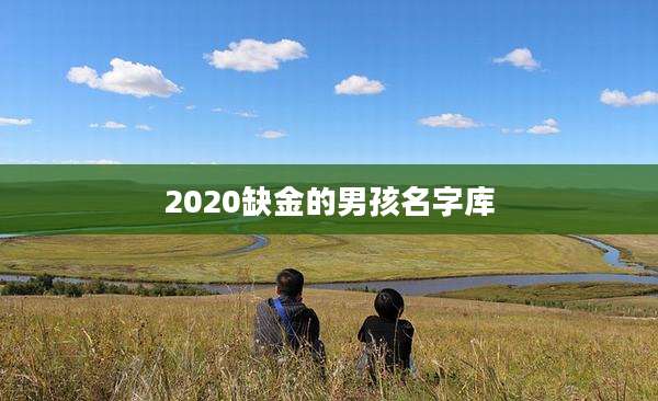 2020缺金的男孩名字库