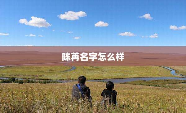 陈苒名字怎么样