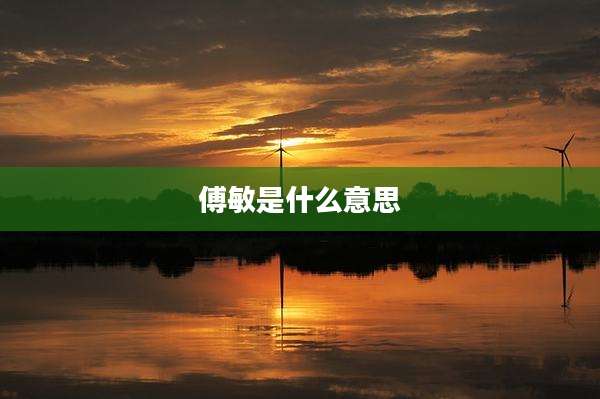 傅敏是什么意思