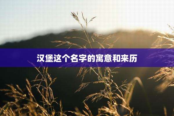 汉堡这个名字的寓意和来历