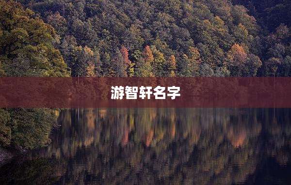 游智轩名字