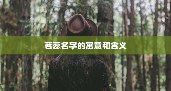 茗蕊名字的寓意和含义