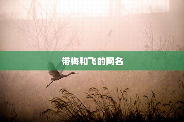 带梅和飞的网名