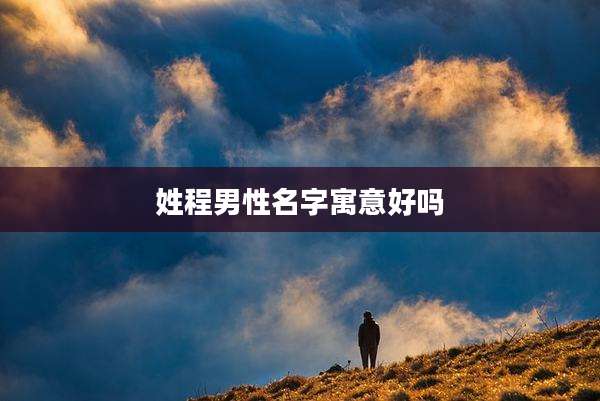 姓程男性名字寓意好吗