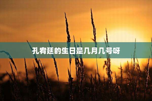 孔宥廷的生日是几月几号呀