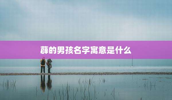 薜的男孩名字寓意是什么