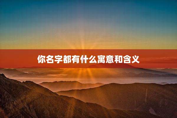 你名字都有什么寓意和含义