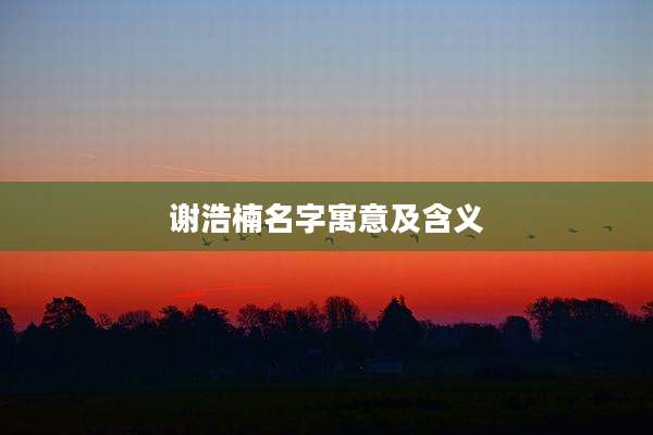 谢浩楠名字寓意及含义