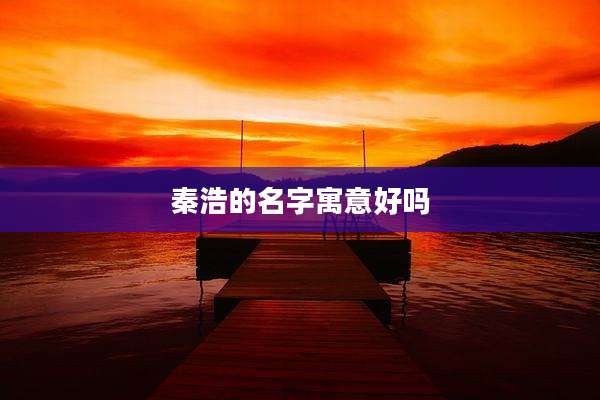 秦浩的名字寓意好吗
