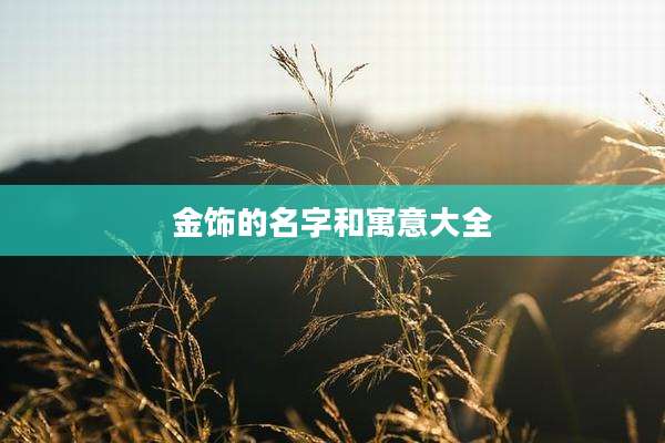 金饰的名字和寓意大全