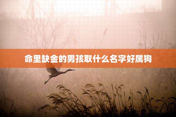 命里缺金的男孩取什么名字好属狗