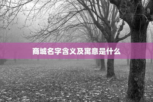 商城名字含义及寓意是什么
