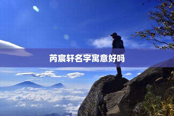 芮宸轩名字寓意好吗