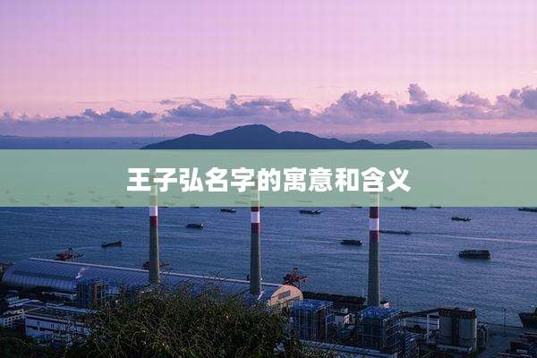 王子弘名字的寓意和含义