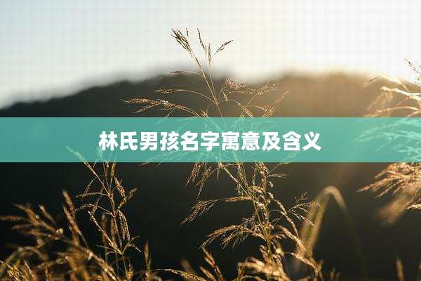 林氏男孩名字寓意及含义