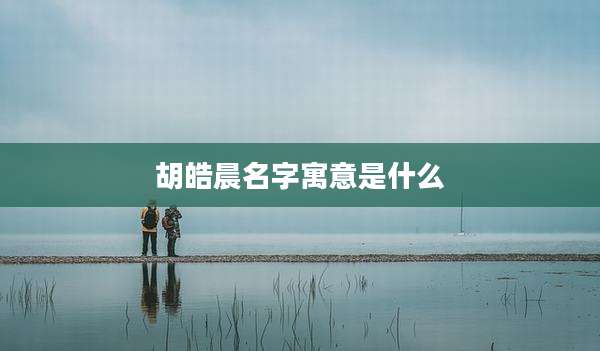 胡皓晨名字寓意是什么