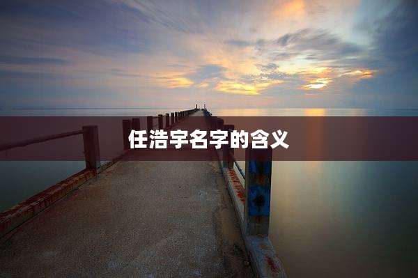 任浩宇名字的含义