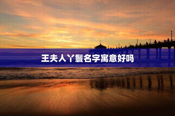 王夫人丫鬟名字寓意好吗