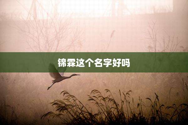 锦霖这个名字好吗