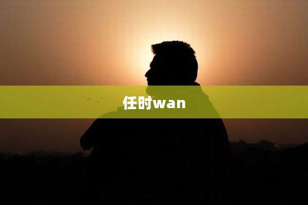 任时wan