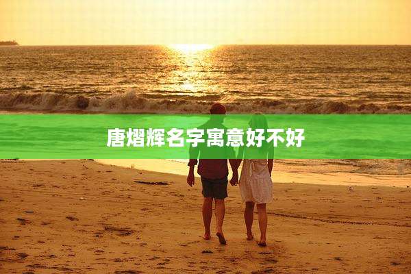 唐熠辉名字寓意好不好