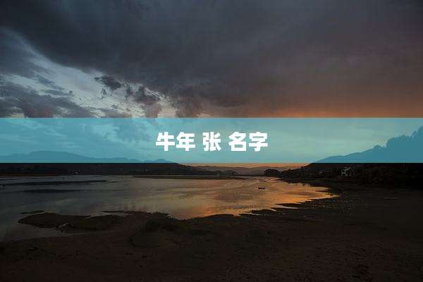 牛年 张 名字