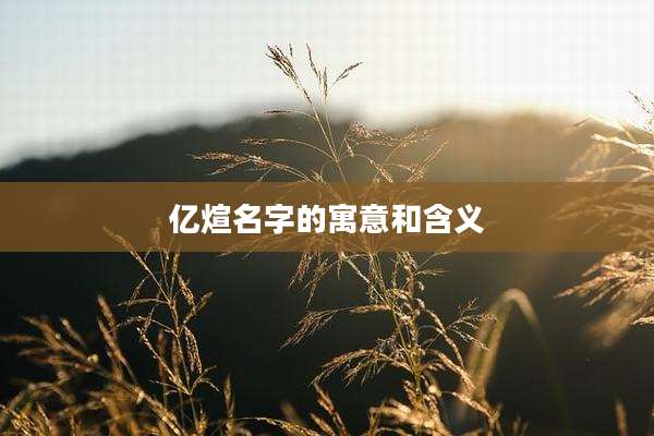 亿煊名字的寓意和含义