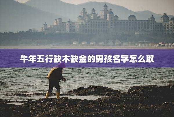 牛年五行缺木缺金的男孩名字怎么取