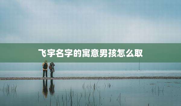 飞宇名字的寓意男孩怎么取