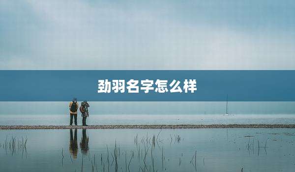 劲羽名字怎么样