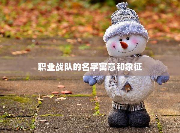 职业战队的名字寓意和象征
