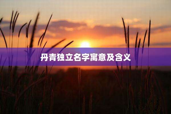 丹青独立名字寓意及含义