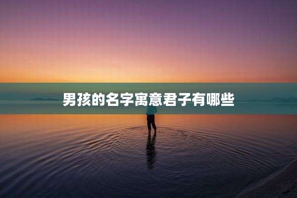 男孩的名字寓意君子有哪些