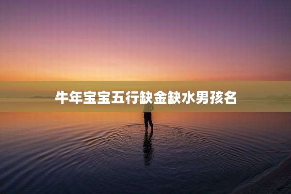牛年宝宝五行缺金缺水男孩名