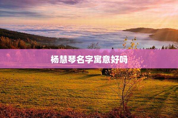 杨慧琴名字寓意好吗