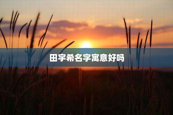 田宇希名字寓意好吗