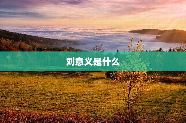 刘意义是什么