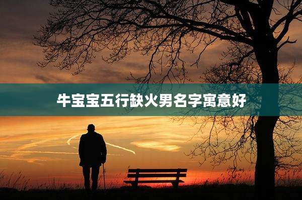 牛宝宝五行缺火男名字寓意好