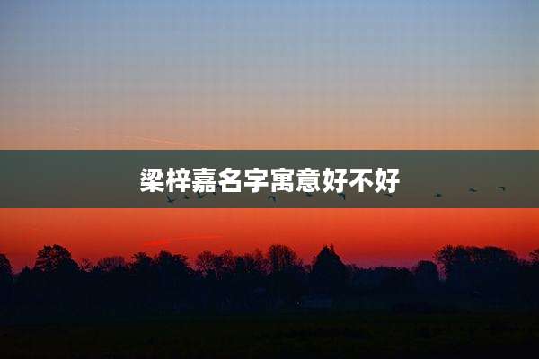 梁梓嘉名字寓意好不好