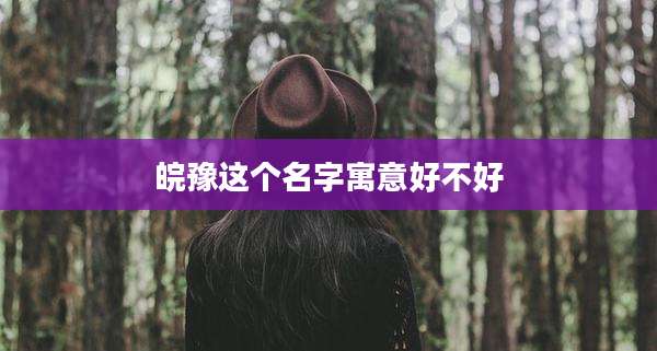 皖豫这个名字寓意好不好