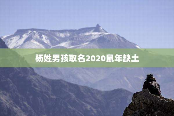 杨姓男孩取名2020鼠年缺土