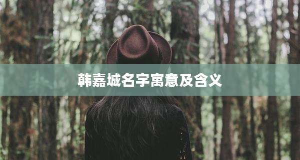 韩嘉城名字寓意及含义