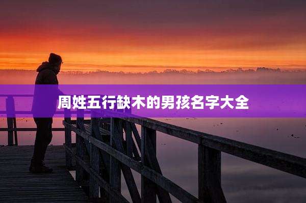周姓五行缺木的男孩名字大全