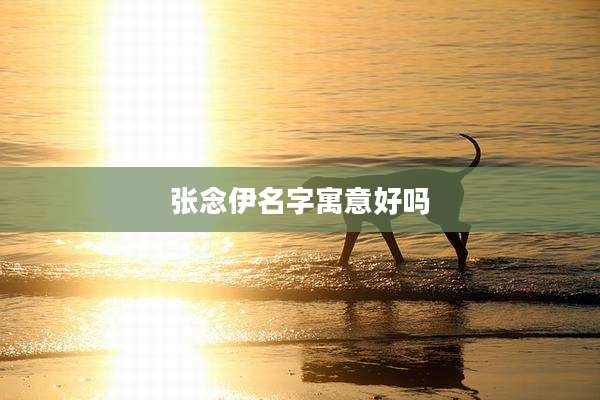 张念伊名字寓意好吗