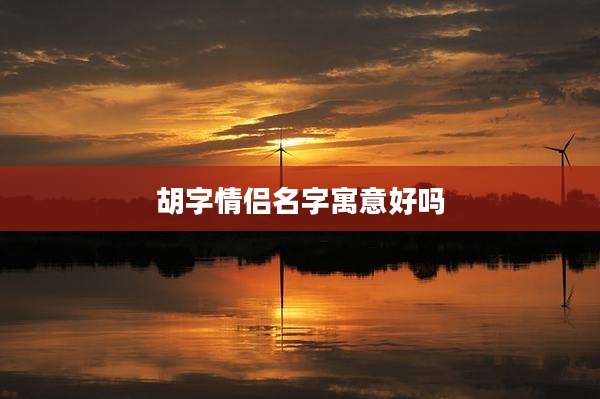 胡字情侣名字寓意好吗
