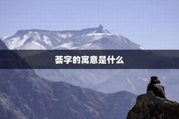 荟字的寓意是什么