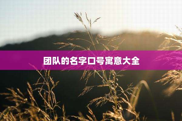 团队的名字口号寓意大全
