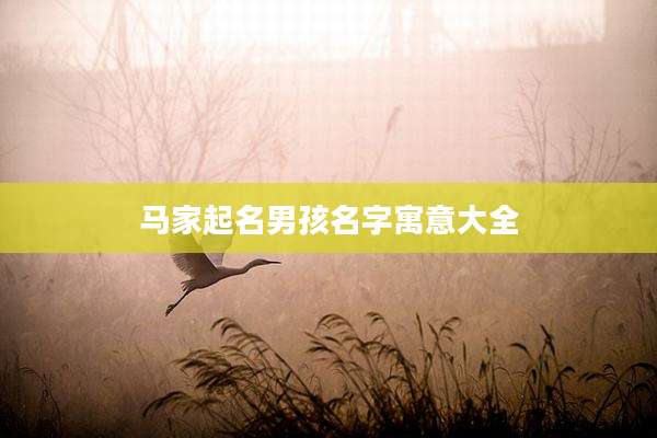马家起名男孩名字寓意大全