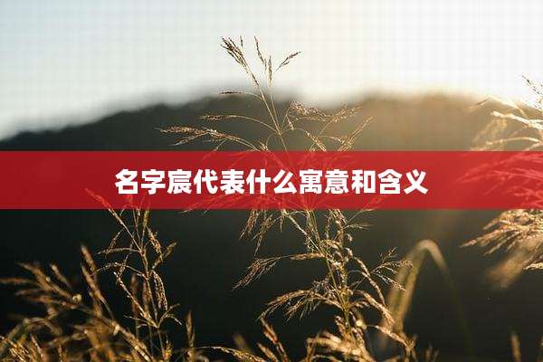 名字宸代表什么寓意和含义