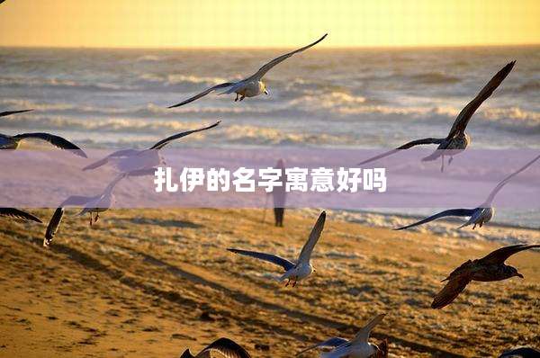 扎伊的名字寓意好吗